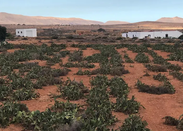 El Alegato Casa De Invitados * Antigua (Fuerteventura)